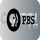 |DSTV| PBS Kids logo