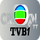 |CN| TVB1 logo