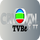 |CN| TVB2 logo
