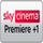 UK| SKY STORE PREMIERE 1 ᴴᴰ logo