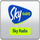 IT| SKY CALCIO 1 HD logo