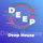 RU |  Фоновая - Deep House logo