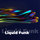 RU |  Электроника - Liquid Funk logo