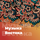 RU |  World Music - Музыка Востока logo
