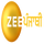 PJB - ZEE PUNJABI HD ◉  logo