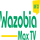 NG - WAZOBIA MAX FHD logo
