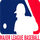 USA - MLB TV 22 logo
