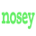 CA - NOSEY logo