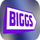 PT ▎BIGGS SD logo