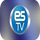 CAR ▎ESTV logo