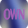 US ▎OWN HD logo