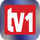 LT ▎TV1 LT logo