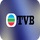 CN ▎TVB HD logo