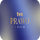 PL ▎TVN PRAWO I ŻYCIE HD logo