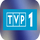 PL ▎TVP 1 HD ◉ rec logo