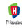 |NO| TV HAUGALAND logo