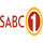 DSTV| SABC 1 HD logo