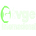GENERAL| TVGE INTERNATIONAL SD logo