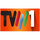 MOZAMBIQUE| TVM1 HD logo