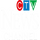 CA| CTV NEWS CHANNEL HD logo