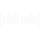 CA| ADULT SWIM HD logo