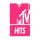 FR-REU| Mtv hits HD logo