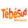 FR| TEBE SUD FHD logo