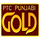 IN| PTC PUNJABI GOLD TV logo