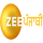 IN| ZEE PUNJABI HD logo