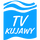 PL| TV KUJAWY HD logo
