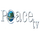 UK| PEACE TV logo