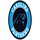 US| NFL: PANTHERS HD logo