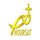 AR | NOUR SAT logo