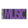 BA | HAYAT MUSIC logo