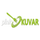RS | PINK KUVAR logo