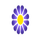 IR | JAME JAM logo