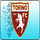 IT | TORINO CHANNEL logo