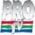 RO |  PRO TV logo