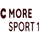 FI | C MORE SPORT 1 logo
