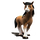 TR | DORU logo