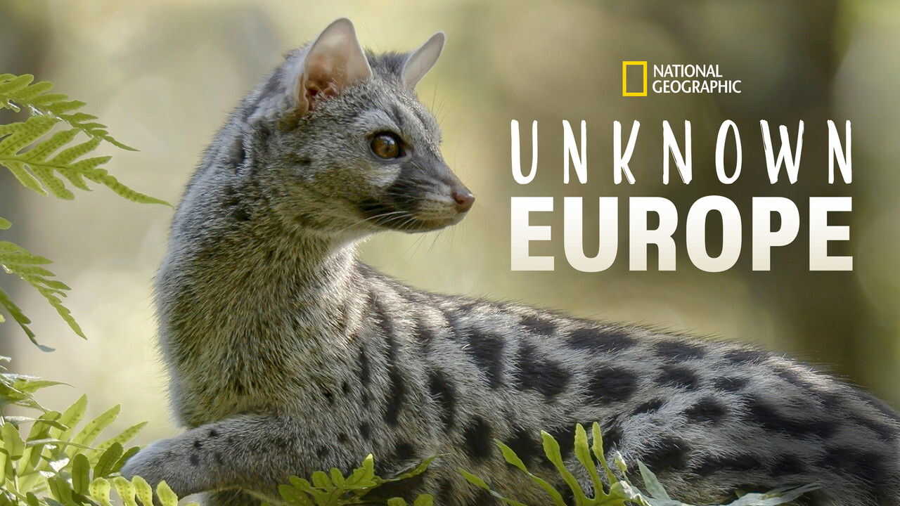 AR - عجائب أوروبا الخفية 2