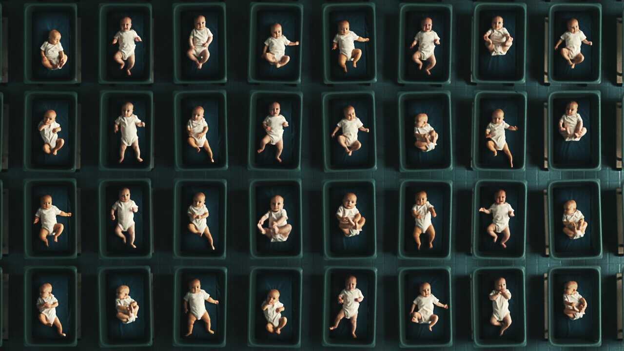 PL - MĘŻCZYZNA Z 1000 DZIECI 1