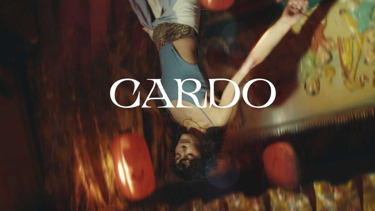 ES - Cardo 1