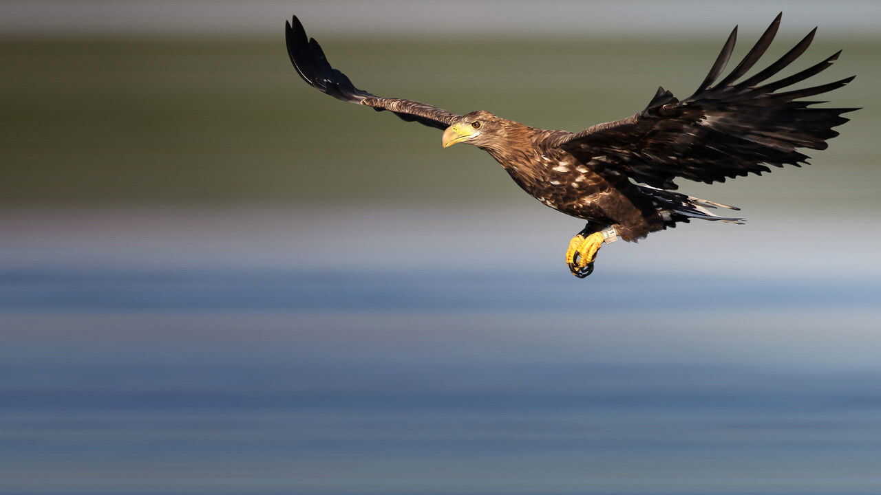 AR - عجائب أوروبا الخفية 3