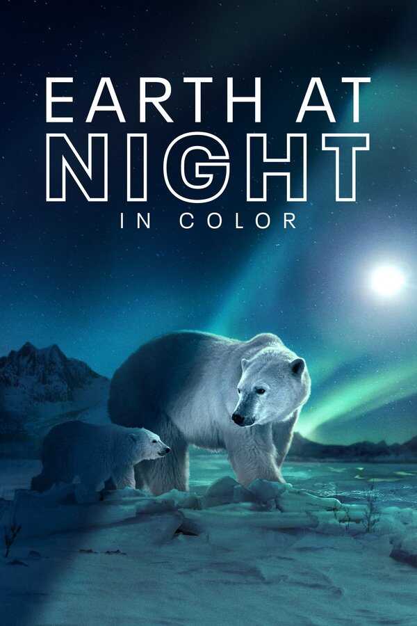 AR ▎ Earth at Night in Color 10